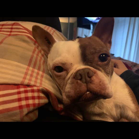 Meet your Posher, Tanya - Picture 1 of 1